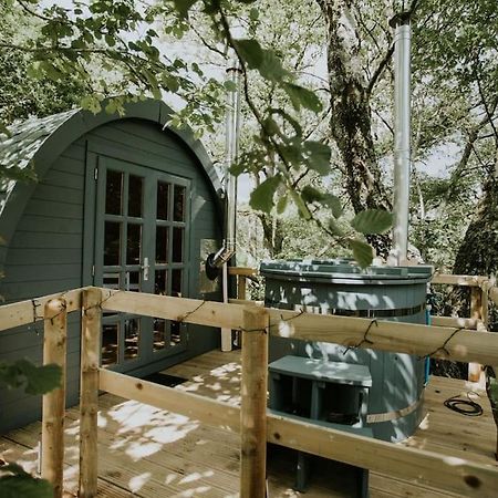 Ash Winter Retreat- Hot Tub & Log Bruner Бармут Екстериор снимка