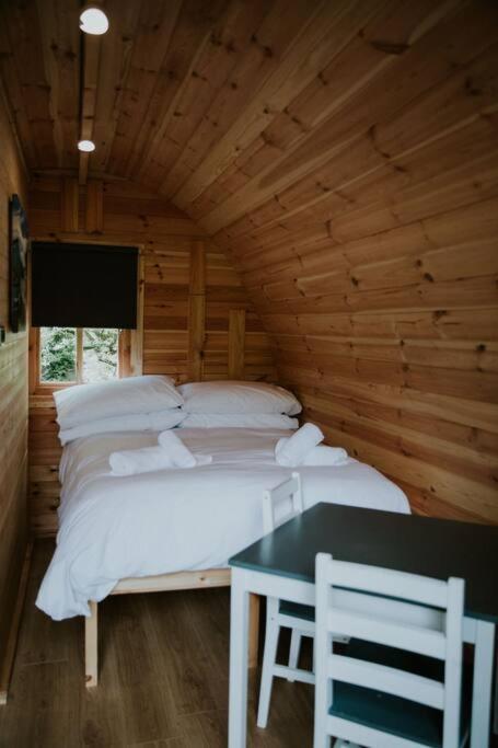 Ash Winter Retreat- Hot Tub & Log Bruner Бармут Екстериор снимка